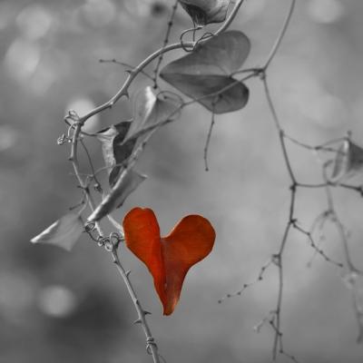 Alfabetul dragostei. Cele mai frumoase citate dupa Anton P. Cehov