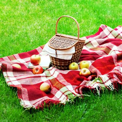 5 pături de picnic pentru odihnă la iarbă verde