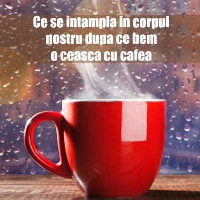 Ce se intampla in corpul tau dupa ce bei o ceasca de cafea?
