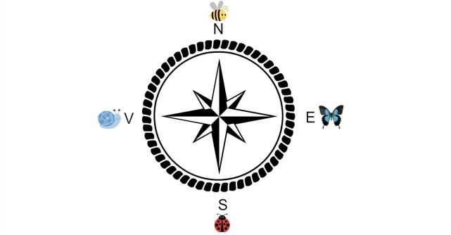 Alege o directie de pe busola pentru a afla incotro se indreapta viata ta