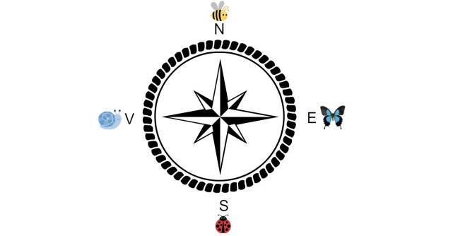 Alege o directie de pe busola pentru a afla incotro se indreapta viata ta