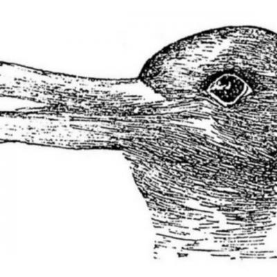 Ce vezi: o rata sau un iepure?