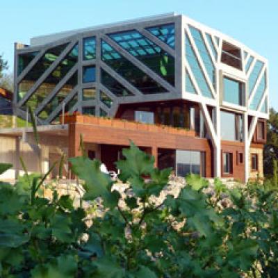 Galerie foto: Casa-copac