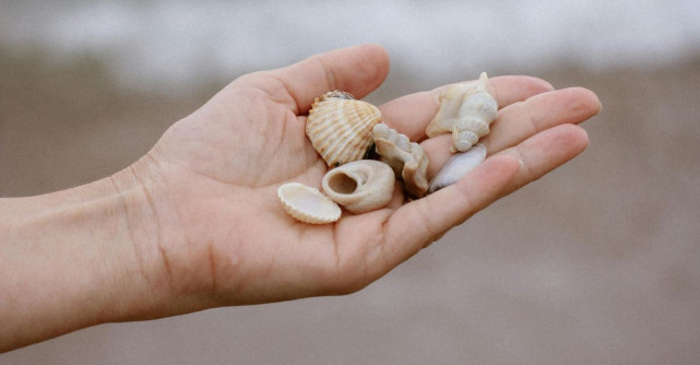 Alegerile noastre nu sunt niciodată un sfârșit, ci un portal deschis spre noi oportunități 