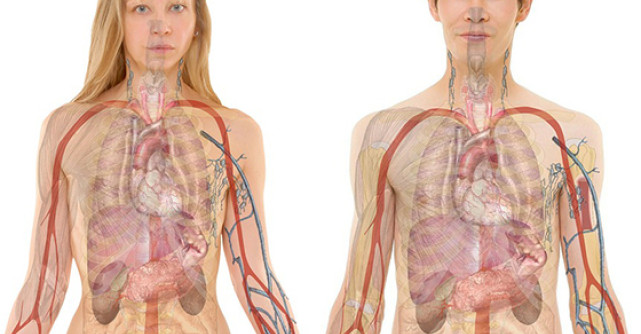 Tratamente naturiste care iti CURATA rinichii