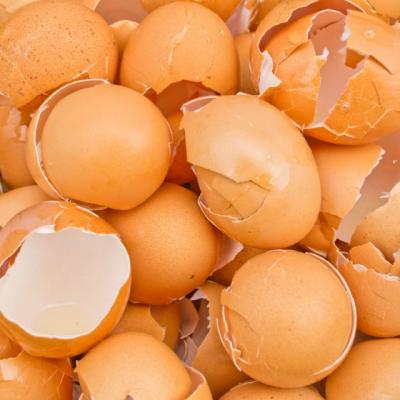 Dupa ce vei citi ASTA, nu vei mai arunca NICIODATA cojile de ou