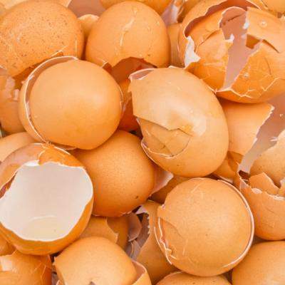 Dupa ce vei citi ASTA, nu vei mai arunca NICIODATA cojile de ou