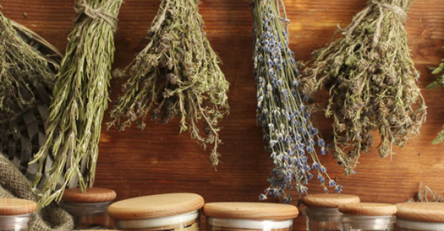 Ghidul plantelor medicinale si aromatice de la A la Z