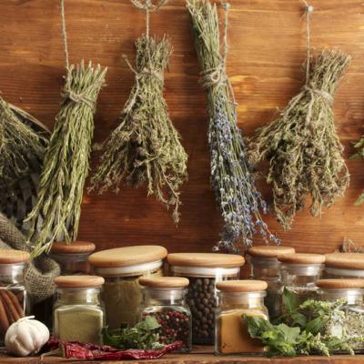 Ghidul plantelor medicinale si aromatice de la A la Z
