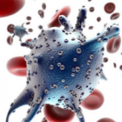 O bacterie starneste ingrijorare in Germania