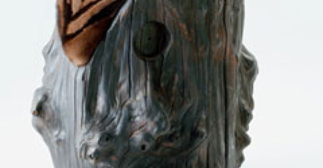 Inspirat din natura: mobilier din blana