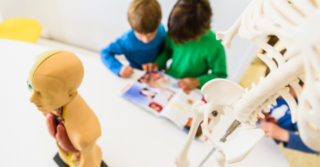 Corpul uman pe înțelesul copiilor: Metode creative și activități educaționale