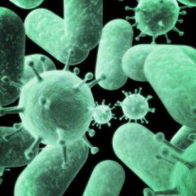 Pneumococul - Pericolul care circula liber printre noi