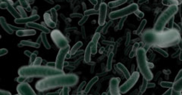 Totul despre boala de care sufera Steve Jobs