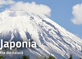 Muzeul Antipa deschide expoziția 'Japonia, file din natură”'