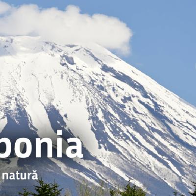 Muzeul Antipa deschide expoziția 'Japonia, file din natură”'