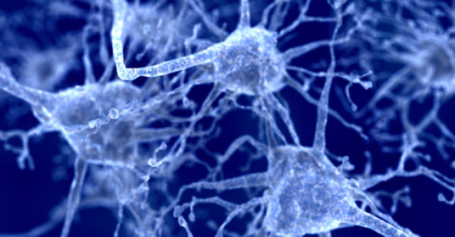 Numarul bolnavilor de Parkinson pana in 2030