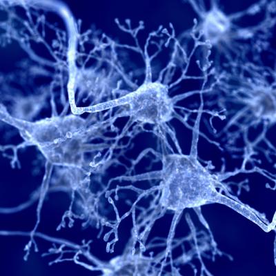 Numarul bolnavilor de Parkinson pana in 2030