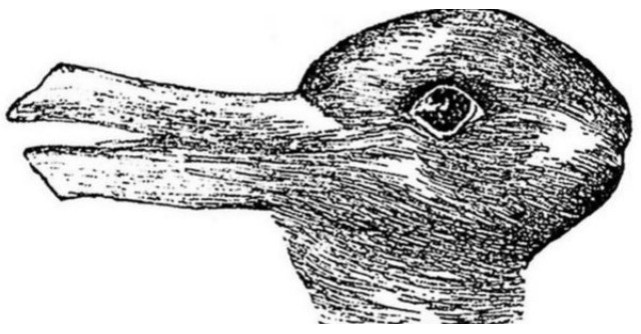 Ce vezi: o rata sau un iepure?