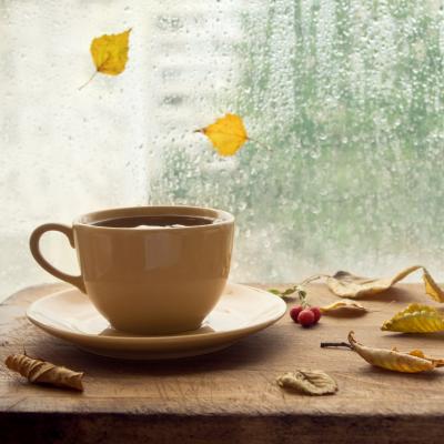 Iubește ploaia, iubește viața