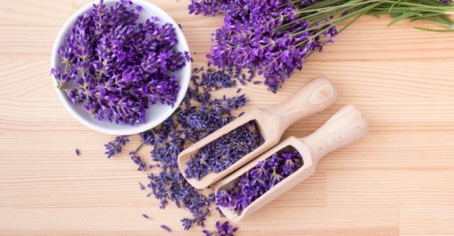 Proprietăţile terapeutice ale lavandei