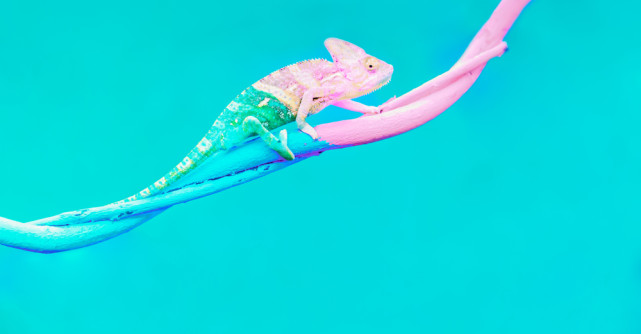 Cincisprezece citate celebre care te vor ajuta să îmbrățișezi schimbarea