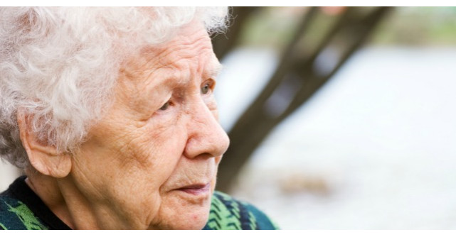 In fiecare duminica, vedea aceasta batranica trista in parc. Cand a vazut ce face...