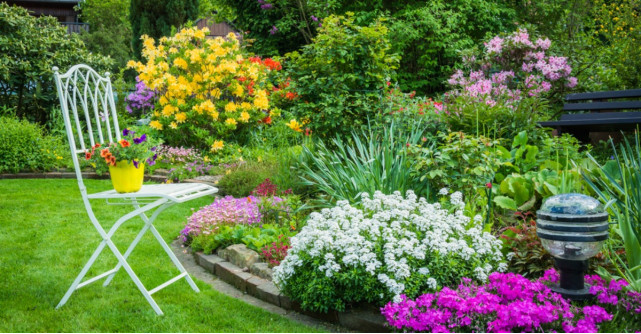 Cum să-ți pregătești grădina primăvara. 7 pași ușor de urmat