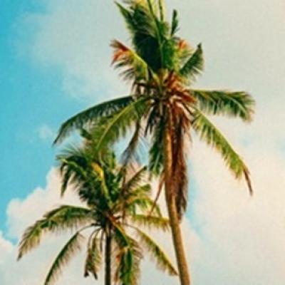 DJ SAVA colaborează pentru prima dată cu BiBi și lansează Dalida