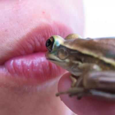 In cautarea fericirii: Sindromul broastei transformate in print