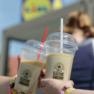 Lidl, first timer la Electric Castle: o experienta electrica deopotriva pentru retalier si participanti