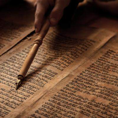 Noutățile lunii decembrie la National Geographic și National Geographic Wild