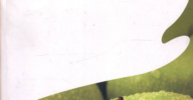 Dieta si nutritie. O abordare ayurvedica a alimentatiei