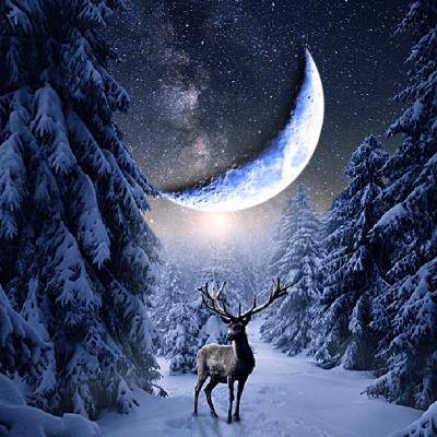 2 ianuarie 2022: Prima Luna Noua a anului este cadoul Universului pentru noi. Divinitatea ne bincuvanteaza cu darul norocului 