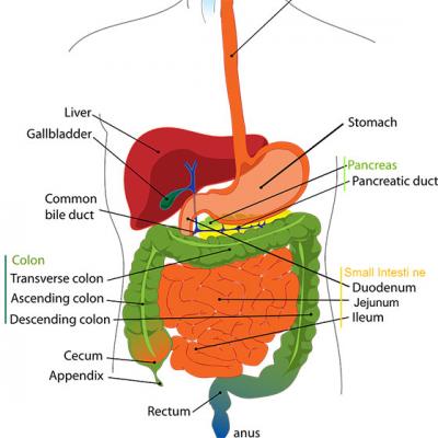 7 Semne ca ai probleme cu FIEREA