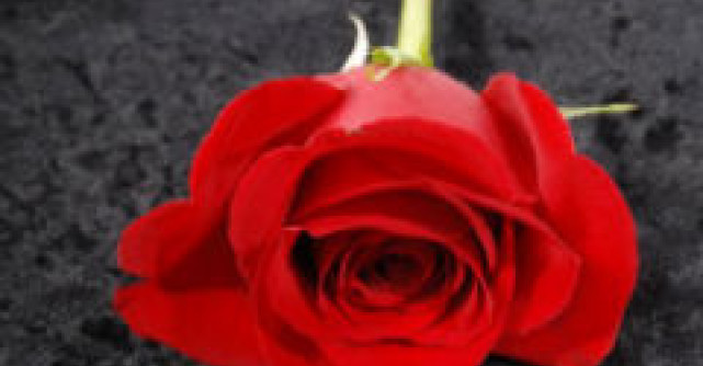 Gandeste-te la mine, iubitul meu!