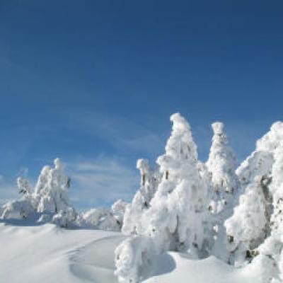 Ultimele locuri pentru CRACIUN