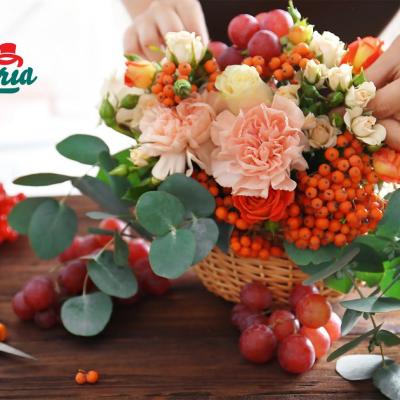  Floria.ro lansează colecția de toamnă și mizează pe o creștere de 15% în acest sezon