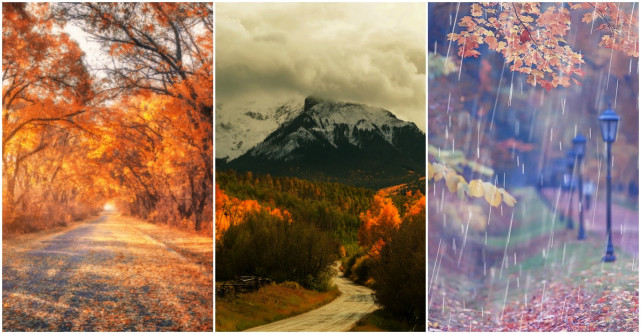 Alege imaginea de toamnă care te reprezintă cel mai bine și află ce spune asta despre tine