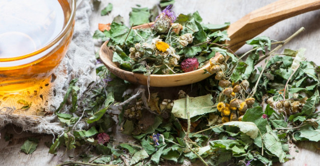 Plantele, remediu cu reguli