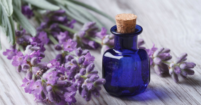 Scapa de stres si anxietate cu levantica!