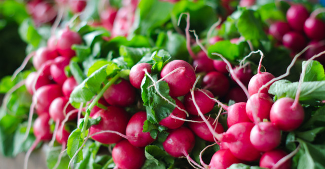 Ridichile, o minune a primaverii. Tu cat de des le consumi?