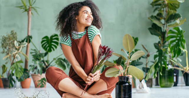 Natura este mai aproape de tine cu ajutorul unor plante de apartament!