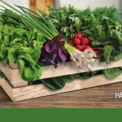 Carrefour lansează Lădița cu verdețuri pentru a susține producătorii locali