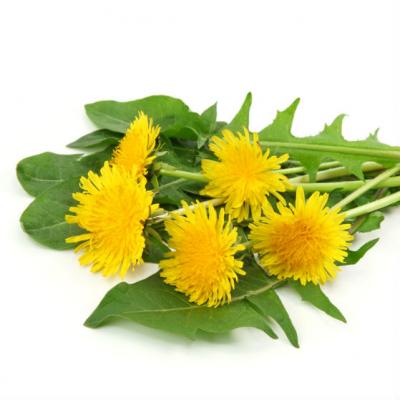 Cinci motive pentru a manca frunze de papadie, daca tii la sanatatea ta