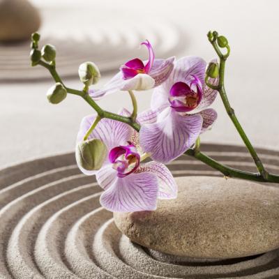 Feng shui pentru sceptici