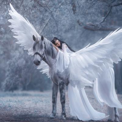 Magia Sanzienelor: Luni noapte iti visezi Alesul