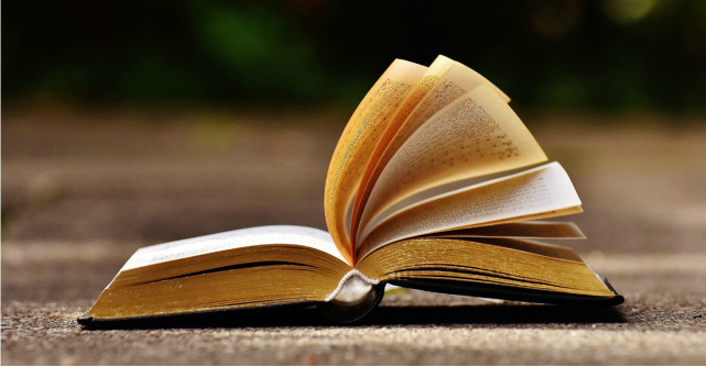 Ce carti citim in 2017