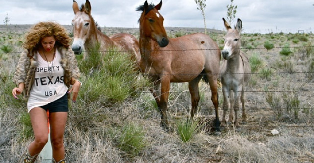 Beyonce - Turneu mondial