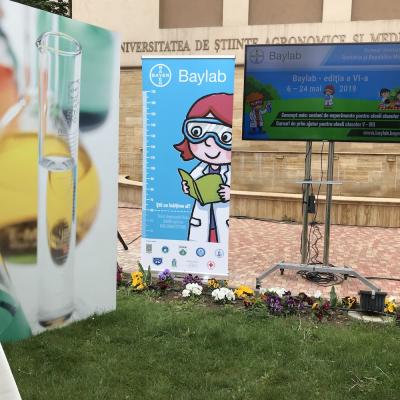Baylab 2019: Educaţie, sănătate, agricultură - priorităţi pentru viitor